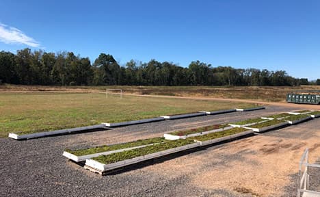 overhead view of moveable green roof testing cassettes