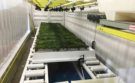 80 square foot (7.4 square meter) green roof cassette in the rain lab (longitudinal view)