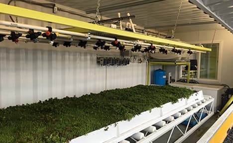 80 square foot (7.4 square meter) green roof cassette in the rain lab (view from side)