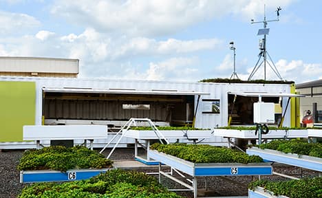 view of stationary green roof testing platforms with rain laboratory in background