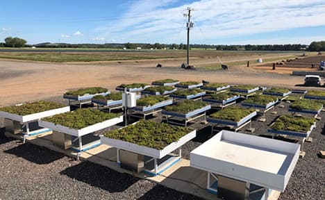 overhead view of stationary green roof testing platforms